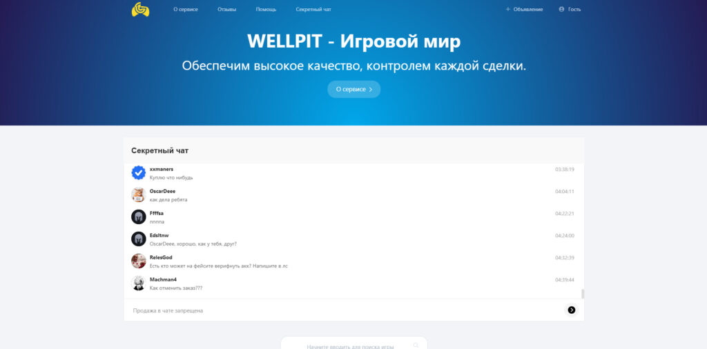 wellpit.ru